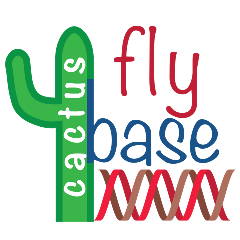 Cactusflybase | Home